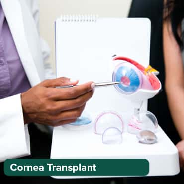 Blépharoplastie supérieure ou inférieure (anesthésie locale))